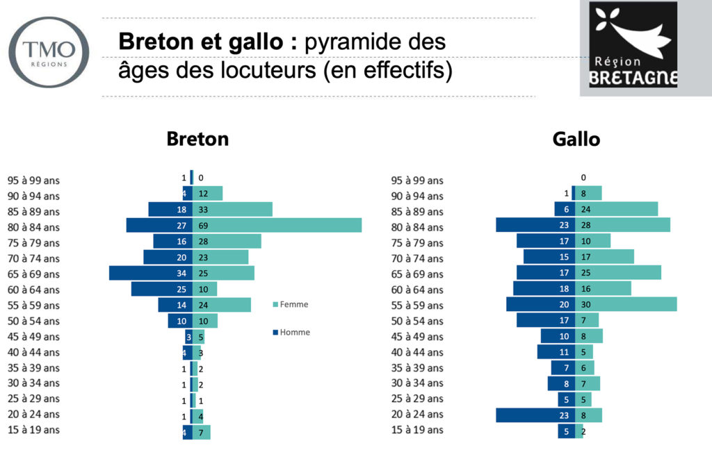 estrutura_idade_breton